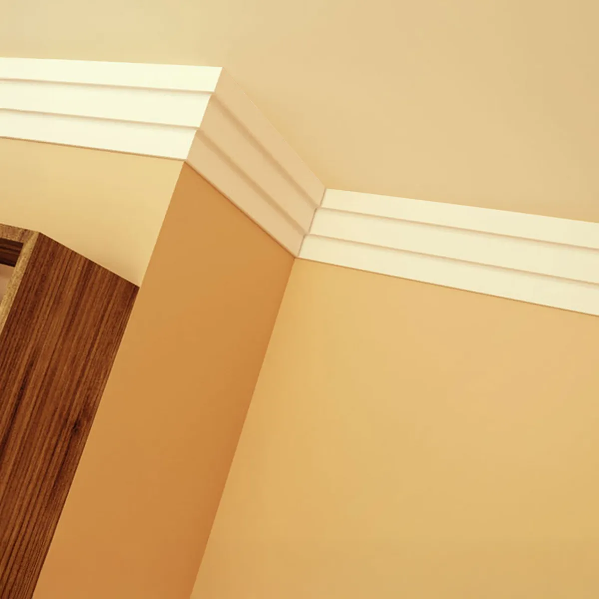 Sancas Modern